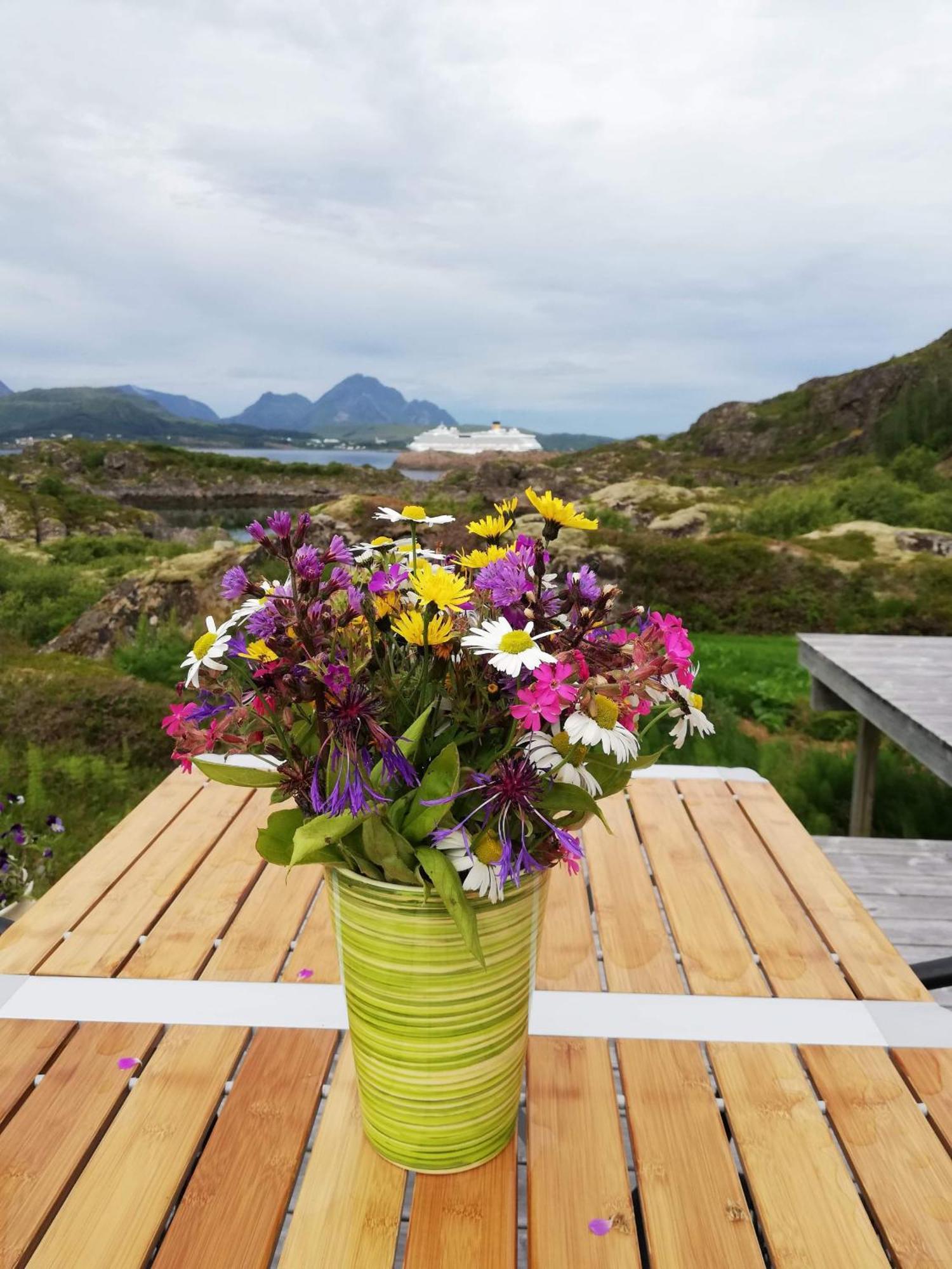 Unique Private Cabin In Lofoten レクネス エクステリア 写真