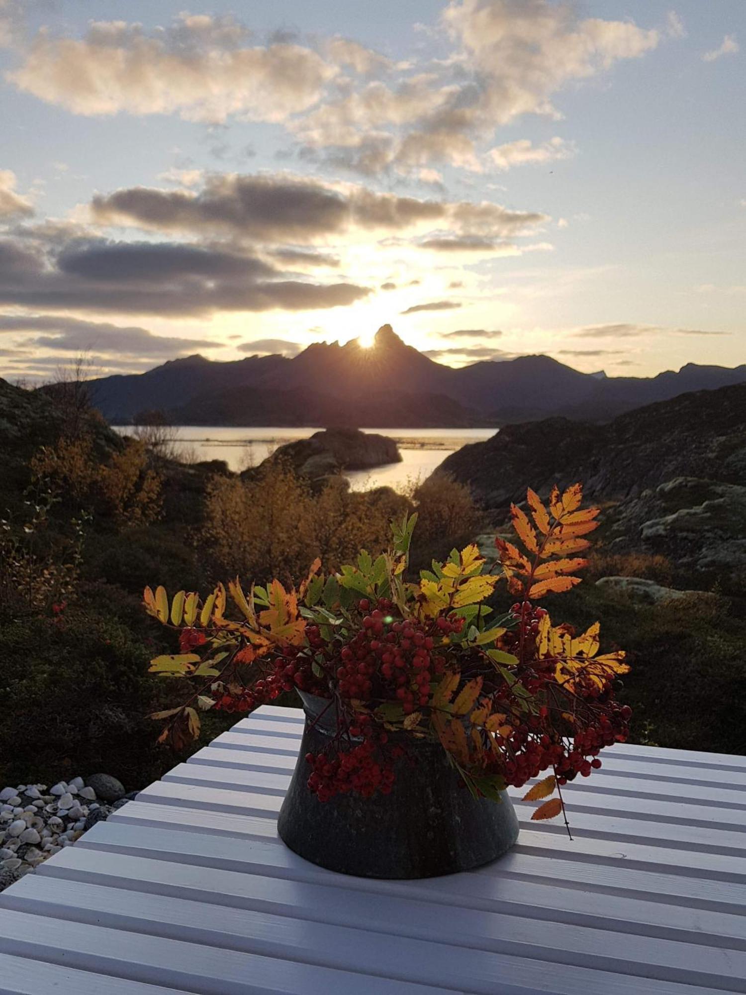 Unique Private Cabin In Lofoten レクネス エクステリア 写真