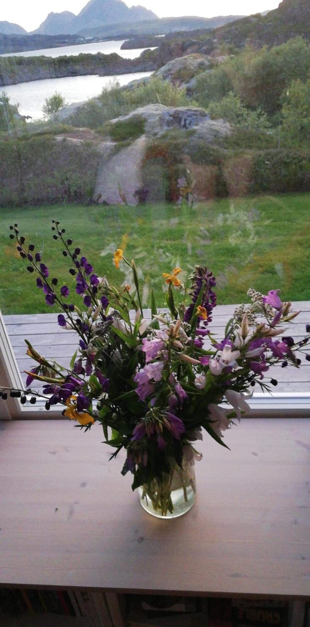 Unique Private Cabin In Lofoten レクネス エクステリア 写真